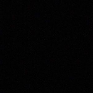 Meet your Posher, Maddie